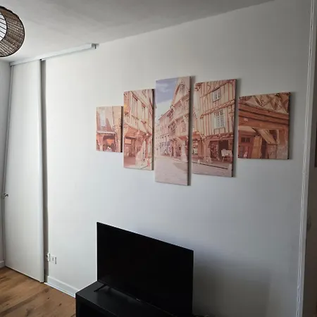 Apartman Calme Et Confort Au Coeur Du Vieux Troyes