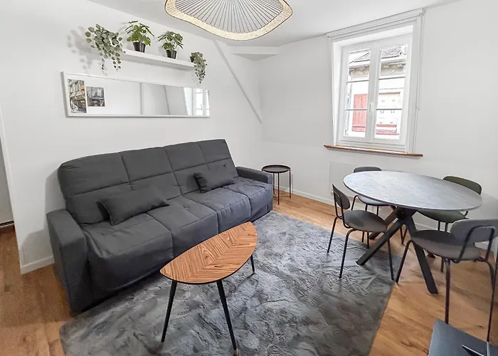 Calme Et Confort Au Coeur Du Vieux Appartement Troyes