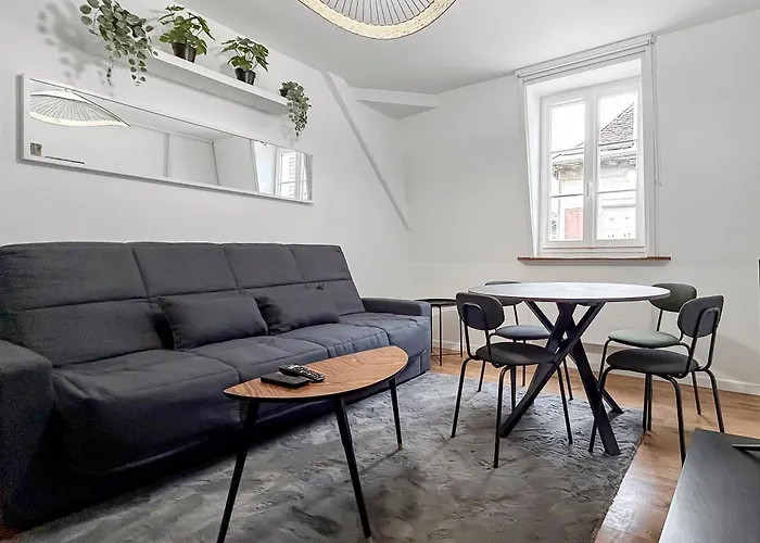 Calme Et Confort Au Coeur Du Vieux Appartement