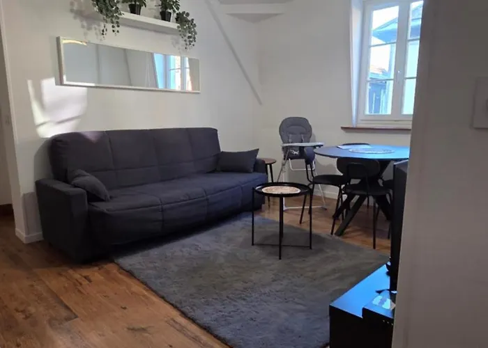 Appartement Calme Et Confort Au Coeur Du Vieux Troyes