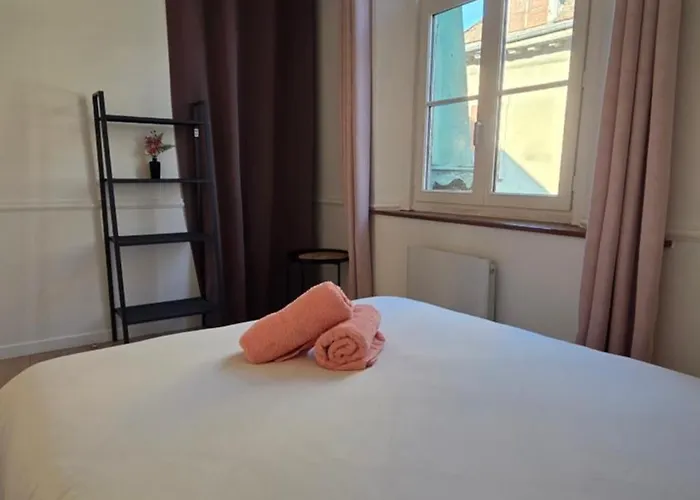 Calme Et Confort Au Coeur Du Vieux Troyes