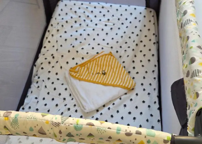 Appartement Calme Et Confort Au Coeur Du Vieux Troyes