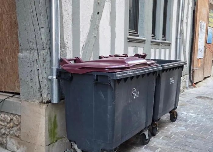 Appartement Calme Et Confort Au Coeur Du Vieux Troyes